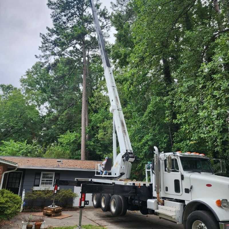 Expert Tree Services in Wendell, NC (20)