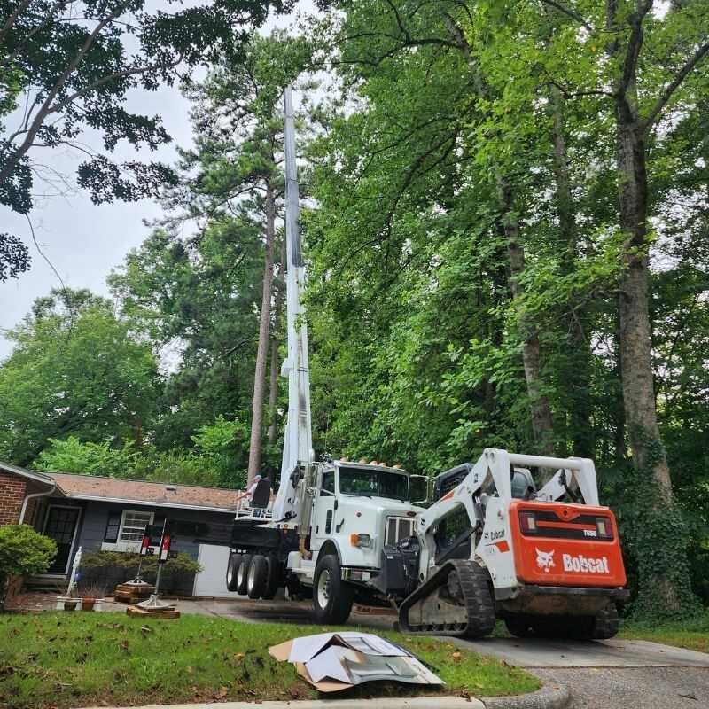 Expert Tree Services in Wendell, NC (21)