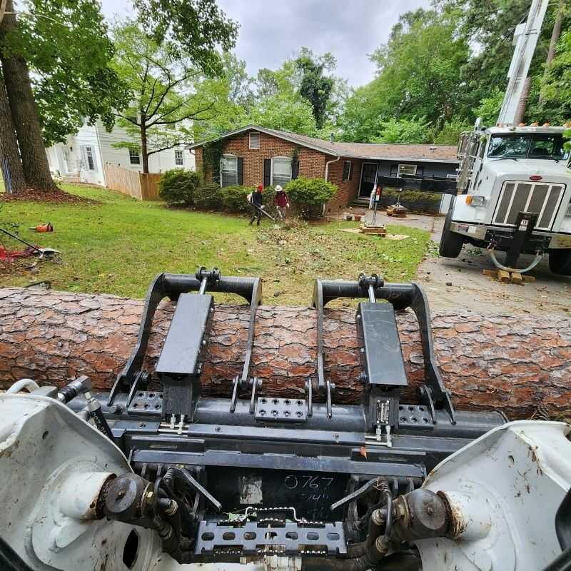 Expert Tree Services in Wendell, NC (22)
