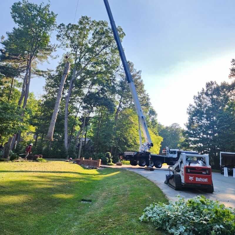 Expert Tree Services in Wendell, NC (23)